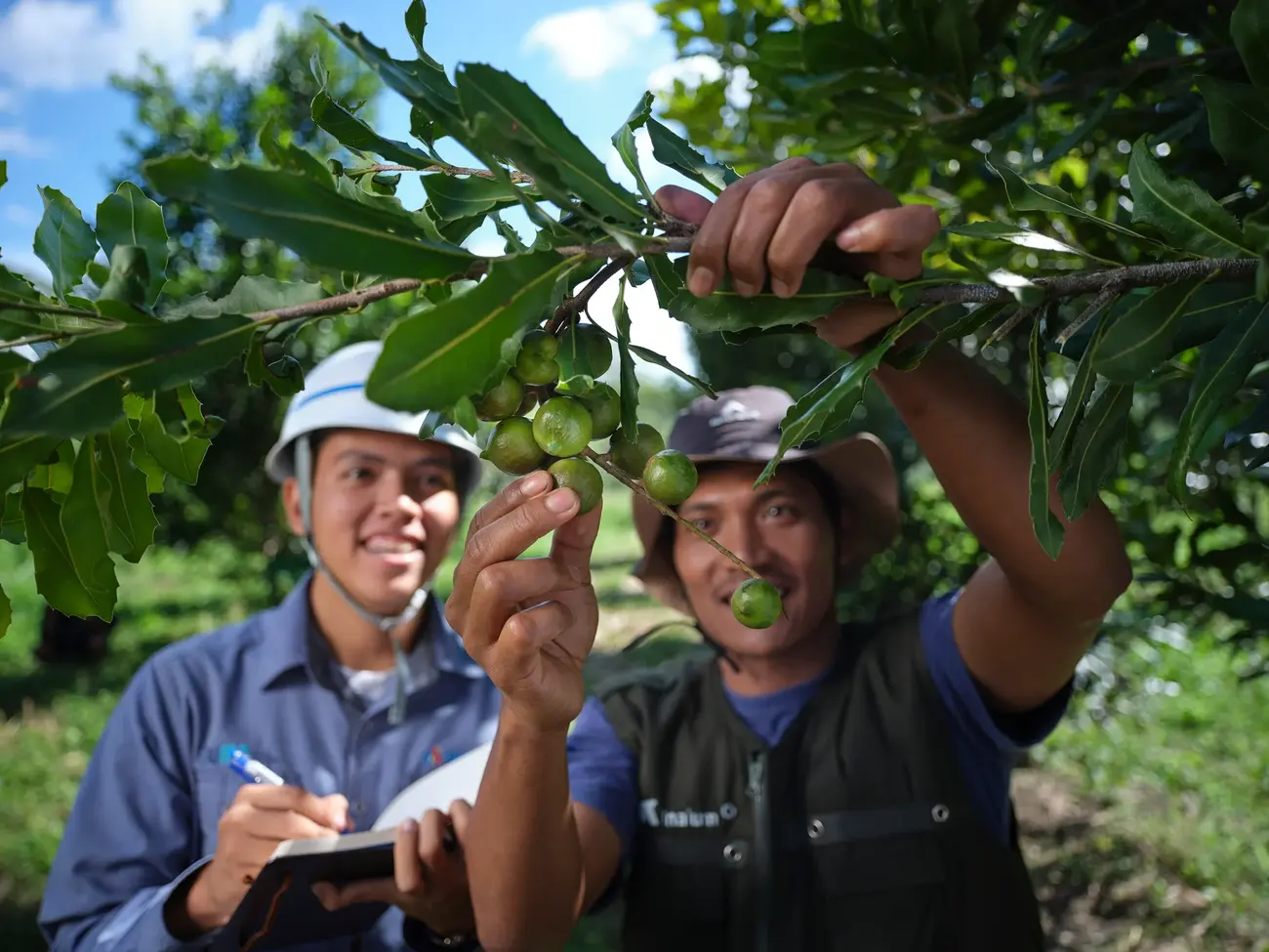 Conservation of endemic flora and fauna species