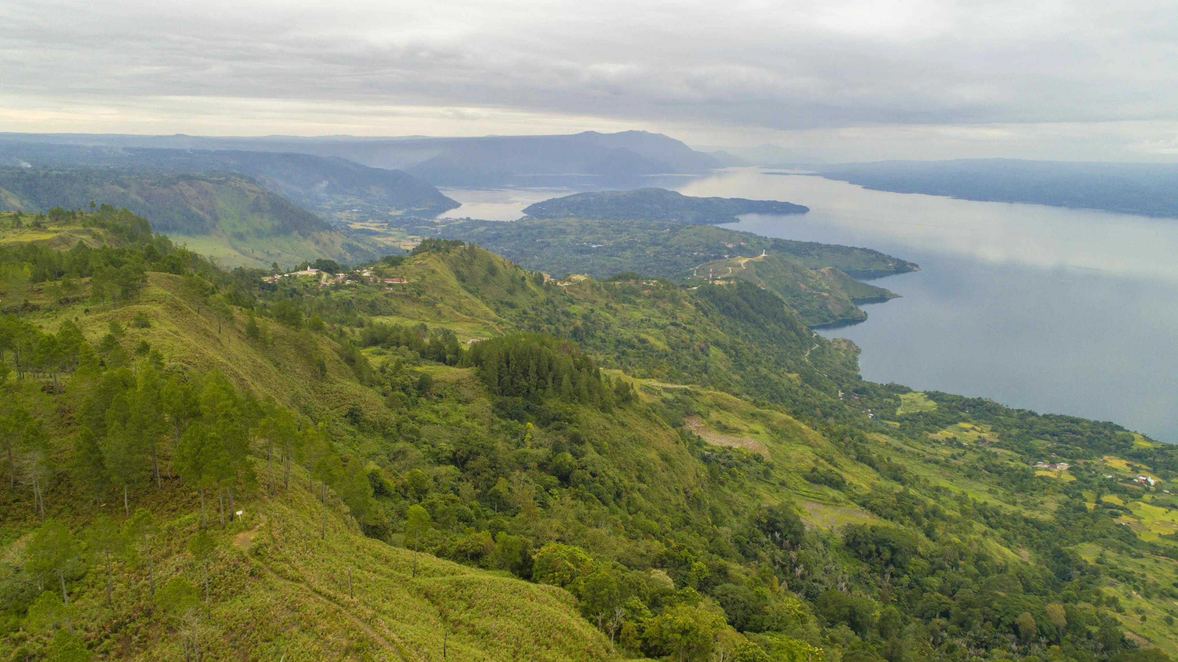 Pemantauan berkala Indeks Keanekaragaman Hayati